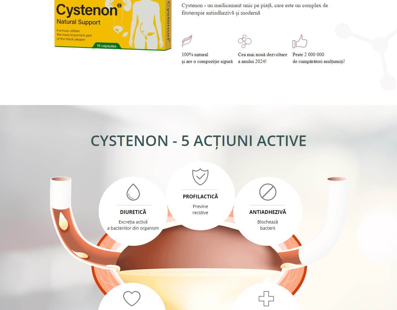 Cystenon 4