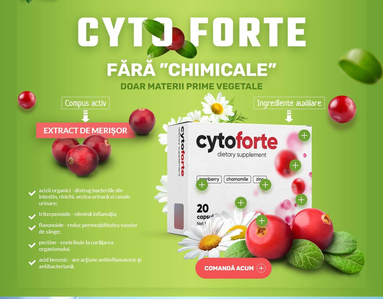 Cyto Forte 3