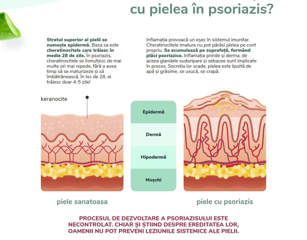 Dr.derm 2