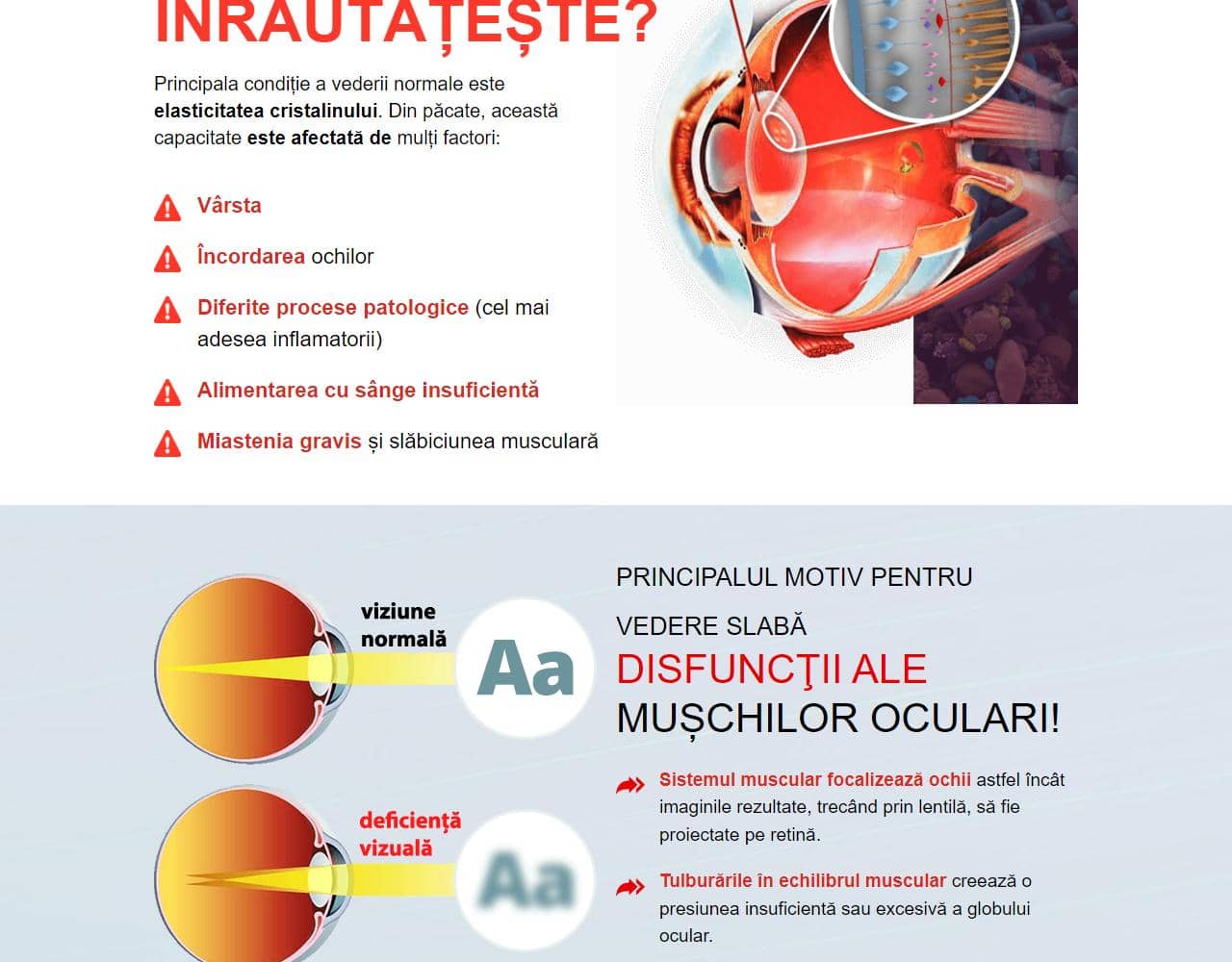 Oculear 2