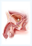 Clinica Medicala ON